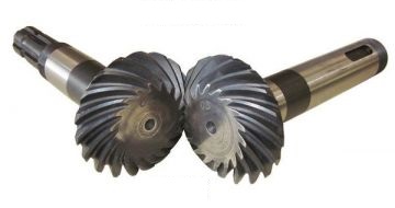 HAŞBAY ŞANZUMAN DİŞLİSİ (PAKSAN)